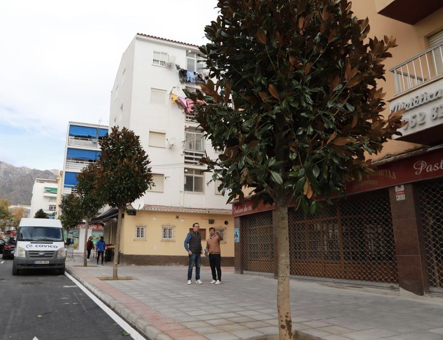 Marbella Contar Con Medio Centenar De Nuevos rboles Tras La Marbella Contar Con Medio Centenar De Nuevos rboles Tras La
