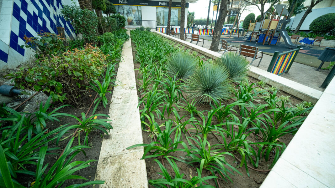Nueva jardinera junto a Marbell Center